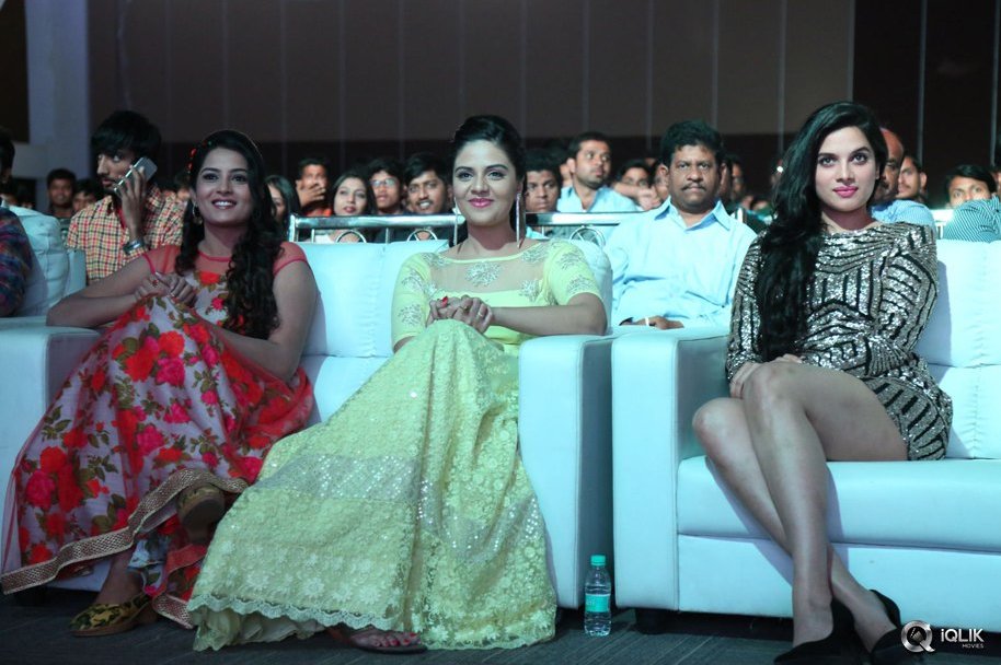 Nenu-Sailaja-Movie-Audio-Launch